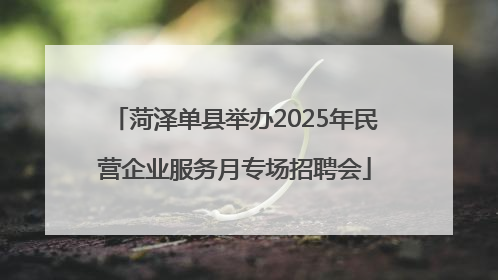 菏泽单县举办2025年民营企业服务月专场招聘会
