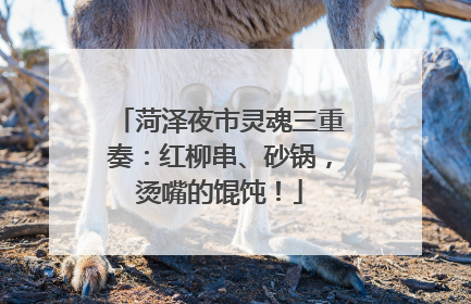 菏泽夜市灵魂三重奏：红柳串、砂锅，烫嘴的馄饨！