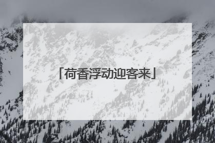 荷香浮动迎客来