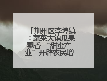 荆州区李埠镇：蔬菜大镇瓜果飘香 “甜蜜产业”开辟农民增收“新赛道”