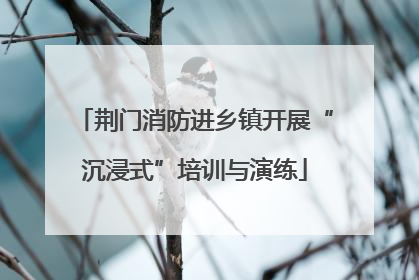 荆门消防进乡镇开展“沉浸式”培训与演练