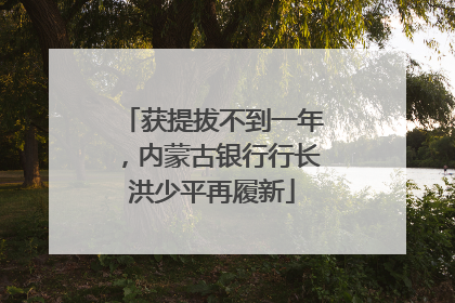 获提拔不到一年，内蒙古银行行长洪少平再履新