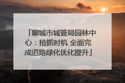 聊城市城管局园林中心：抢抓时机 全面完成道路绿化优化提升