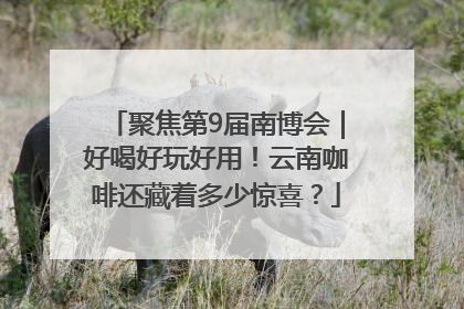 聚焦第9届南博会｜好喝好玩好用！云南咖啡还藏着多少惊喜？