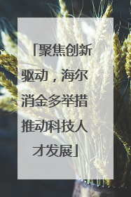 聚焦创新驱动，海尔消金多举措推动科技人才发展