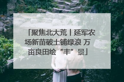 聚焦北大荒丨延军农场新苗破土铺绿浪 万亩良田绘“丰”景