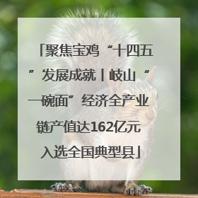 聚焦宝鸡“十四五”发展成就丨岐山“一碗面”经济全产业链产值达162亿元 入选全国典型县