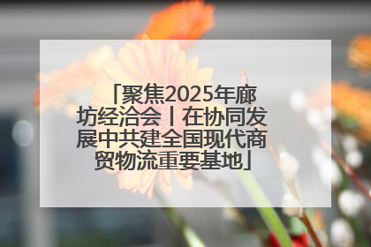 聚焦2025年廊坊经洽会丨在协同发展中共建全国现代商贸物流重要基地