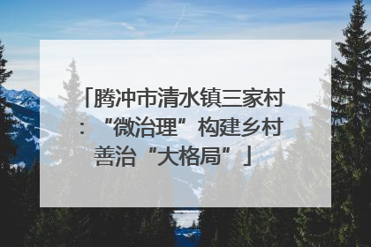 腾冲市清水镇三家村：“微治理”构建乡村善治“大格局”