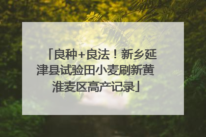 良种+良法！新乡延津县试验田小麦刷新黄淮麦区高产记录