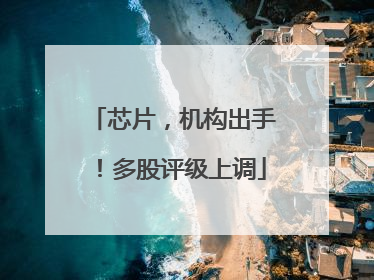 芯片，机构出手！多股评级上调
