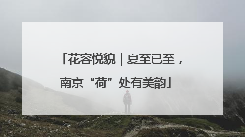 花容悦貌｜夏至已至，南京“荷”处有美韵
