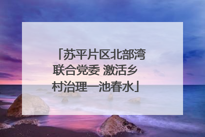 苏平片区北部湾联合党委 激活乡村治理一池春水