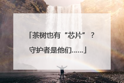 茶树也有“芯片”？守护者是他们……