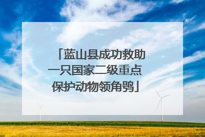 蓝山县成功救助一只国家二级重点保护动物领角鸮