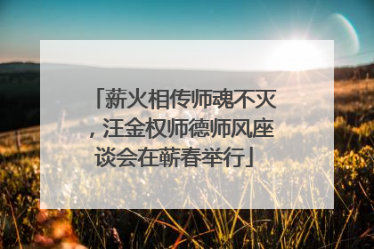 薪火相传师魂不灭，汪金权师德师风座谈会在蕲春举行
