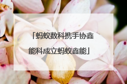 蚂蚁数科携手协鑫能科成立蚂蚁鑫能