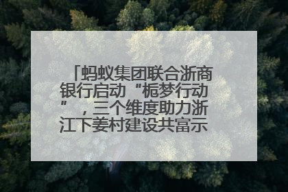 蚂蚁集团联合浙商银行启动“栀梦行动”，三个维度助力浙江下姜村建设共富示范区示范点