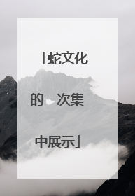 蛇文化的一次集中展示