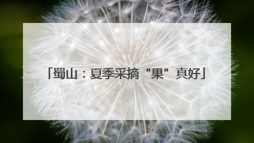 蜀山：夏季采摘“果”真好