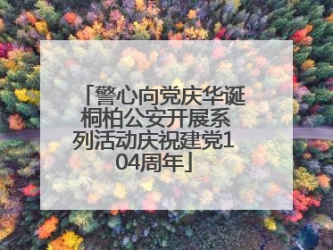 警心向党庆华诞 桐柏公安开展系列活动庆祝建党104周年