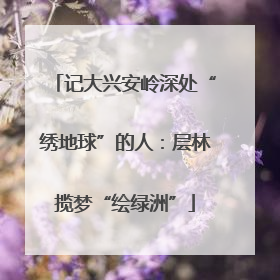 记大兴安岭深处“绣地球”的人：层林揽梦“绘绿洲”
