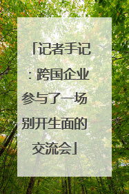 记者手记：跨国企业参与了一场别开生面的交流会