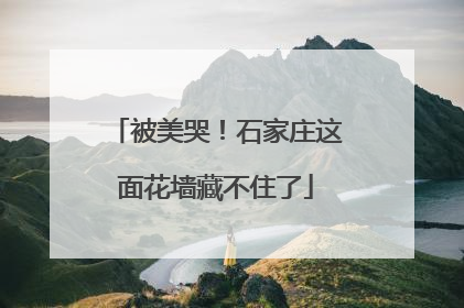 被美哭！石家庄这面花墙藏不住了