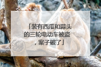 装有西瓜和蒜头的三轮电动车被盗，案子破了