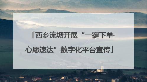 西乡流塘开展“一键下单·心愿速达”数字化平台宣传