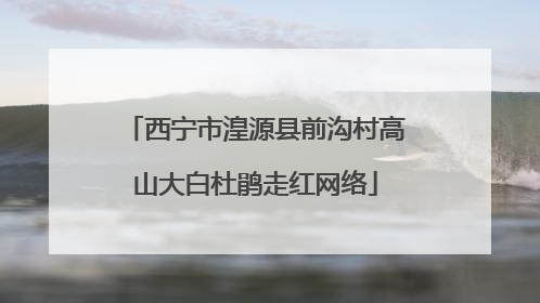 西宁市湟源县前沟村高山大白杜鹃走红网络