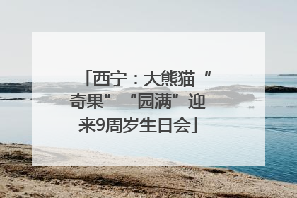 西宁：大熊猫“奇果”“园满”迎来9周岁生日会