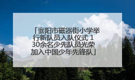 襄阳市磁器街小学举行新队员入队仪式 130余名少先队员光荣加入中国少年先锋队