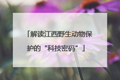 解读江西野生动物保护的“科技密码”