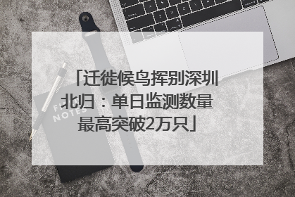 迁徙候鸟挥别深圳北归：单日监测数量最高突破2万只