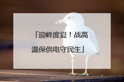 迎峰度夏！战高温保供电守民生