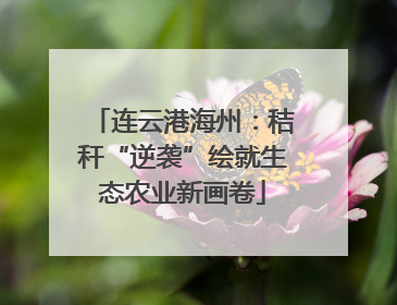 连云港海州：秸秆“逆袭”绘就生态农业新画卷