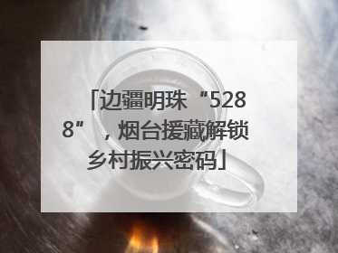 边疆明珠“5288”，烟台援藏解锁乡村振兴密码