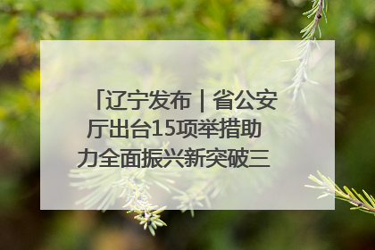 辽宁发布｜省公安厅出台15项举措助力全面振兴新突破三年行动决胜之战