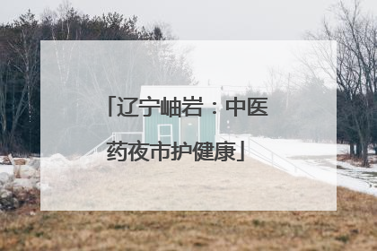 辽宁岫岩：中医药夜市护健康