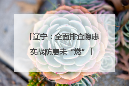 辽宁：全面排查隐患 实战防患未“燃”