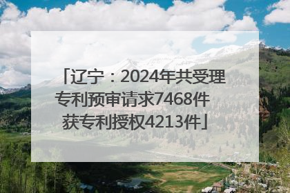 辽宁：2024年共受理专利预审请求7468件 获专利授权4213件