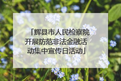 辉县市人民检察院开展防范非法金融活动集中宣传日活动