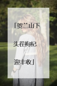 贺兰山下 头茬枸杞迎丰收