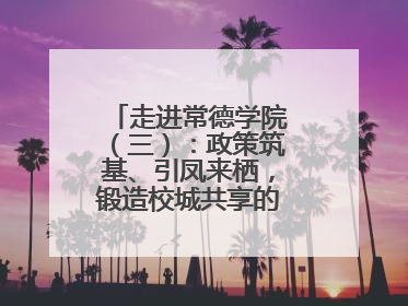 走进常德学院（三）：政策筑基、引凤来栖，锻造校城共享的“双师铁军”