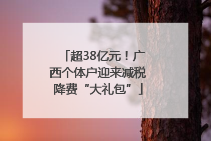 超38亿元！广西个体户迎来减税降费“大礼包”