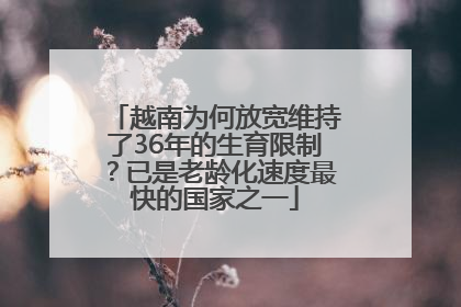 越南为何放宽维持了36年的生育限制？已是老龄化速度最快的国家之一