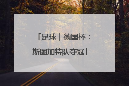 足球｜德国杯：斯图加特队夺冠