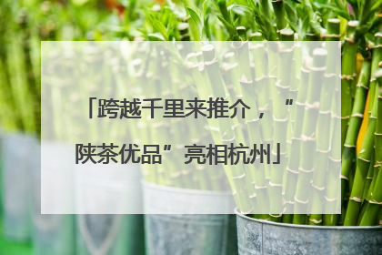 跨越千里来推介，“陕茶优品”亮相杭州