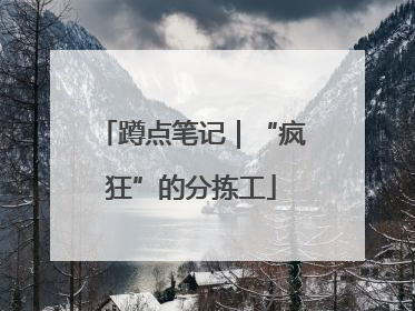 蹲点笔记｜“疯狂”的分拣工